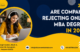 Companies Rejecting Online MBA Degrees
